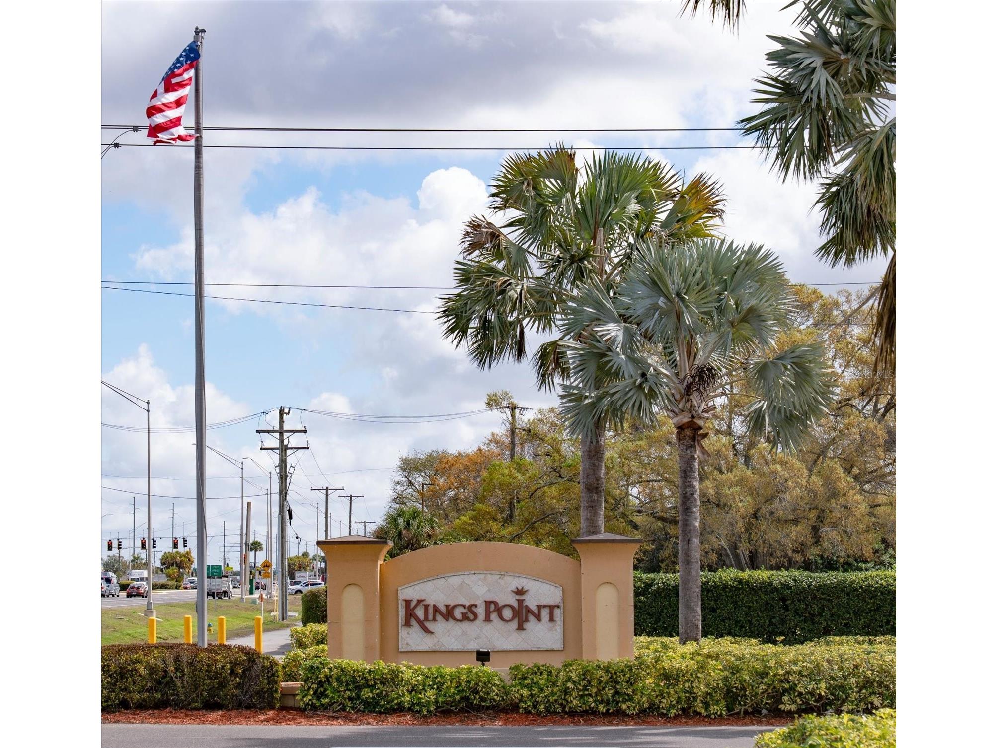 205 Kings Boulevard #62 Sun City Center FL 33573 TB8483730 image37