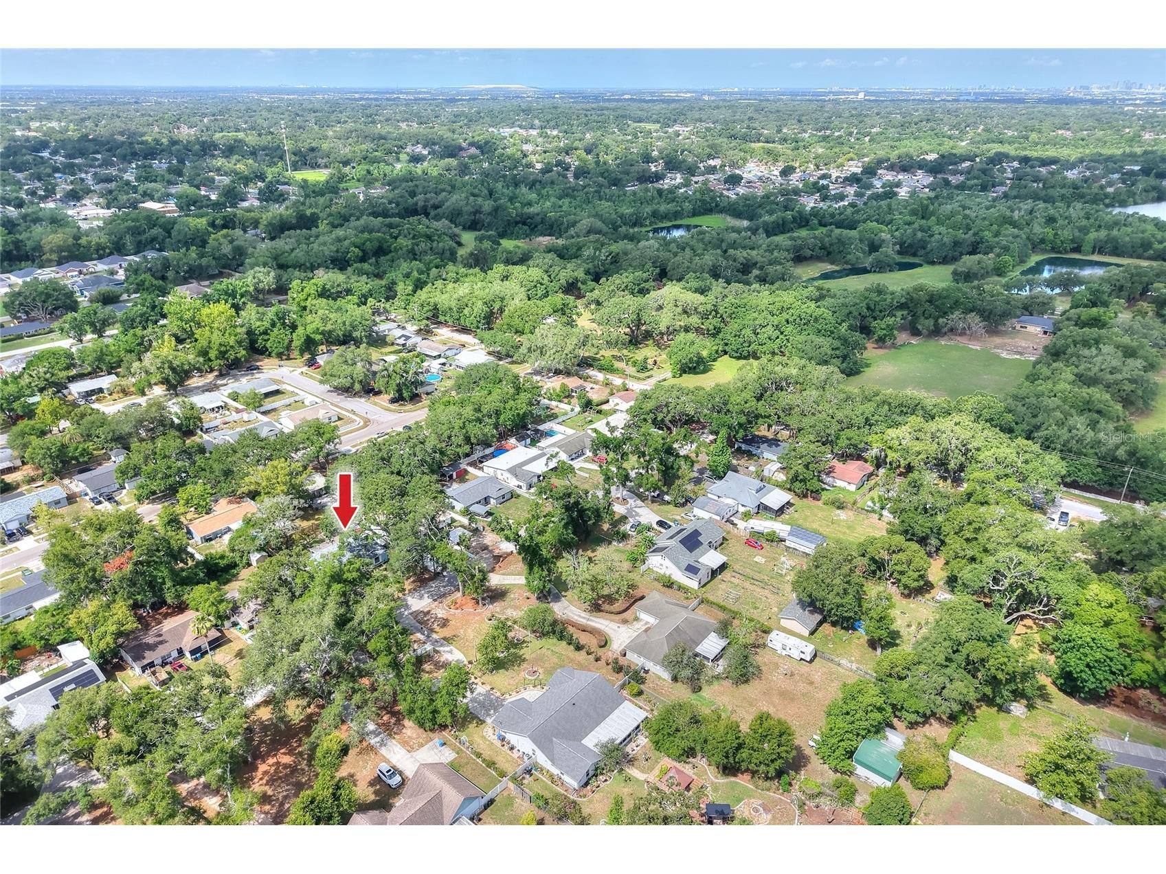 205 Lentz Road Brandon FL 33510 L4960913 image53