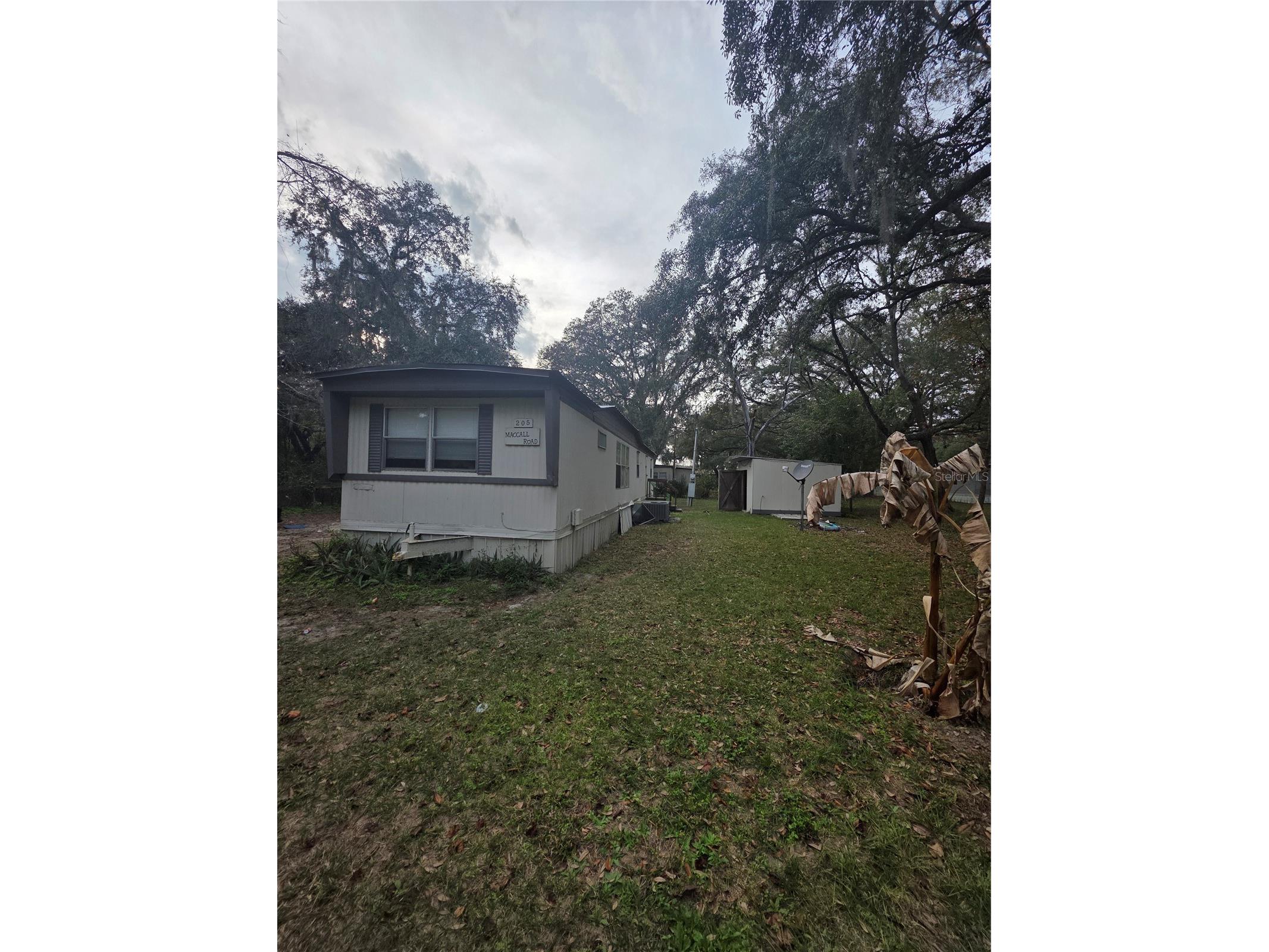 205 Little Star Road Hawthorne FL 32640 OM716445 image3