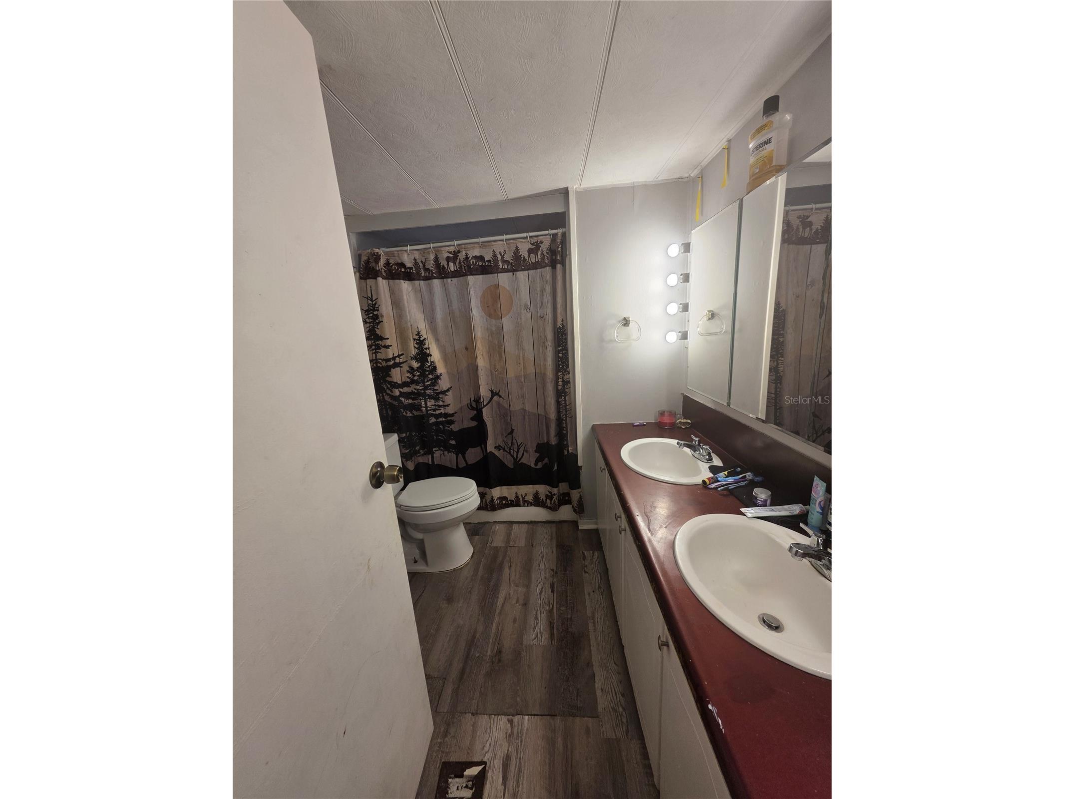 205 Little Star Road Hawthorne FL 32640 OM716445 image9