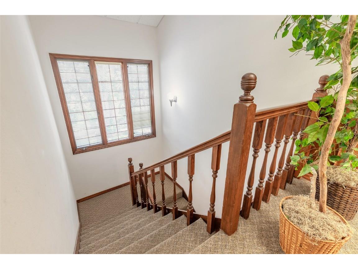 205 Magnolia Street New Smyrna Beach FL 32168 NS1085468 image35