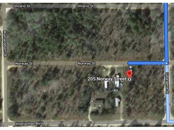205 Norway Street Interlachen FL 32148 OM626503 image1