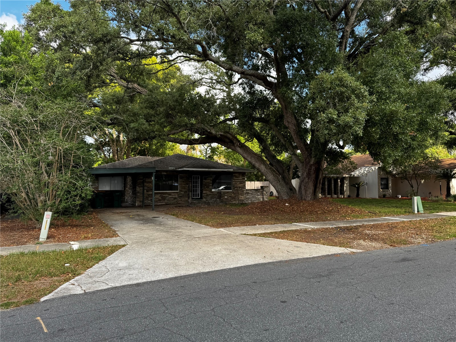 205 Pinecrest Road Mount Dora FL 32757 W7885620 image1