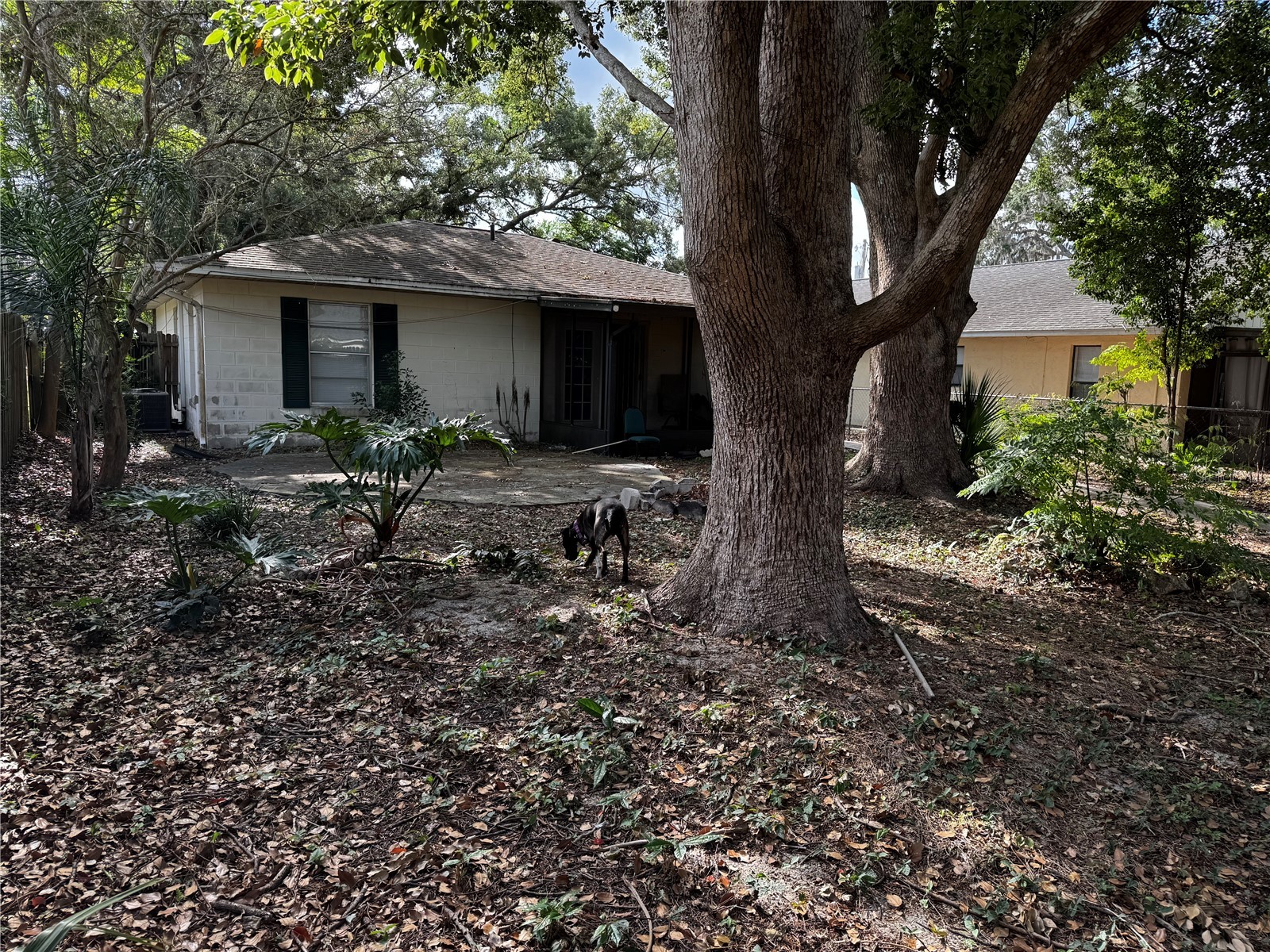 205 Pinecrest Road Mount Dora FL 32757 W7885620 image10