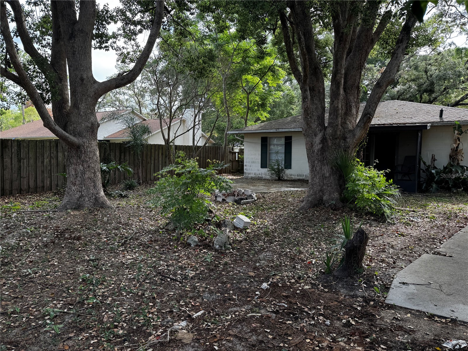 205 Pinecrest Road Mount Dora FL 32757 W7885620 image11