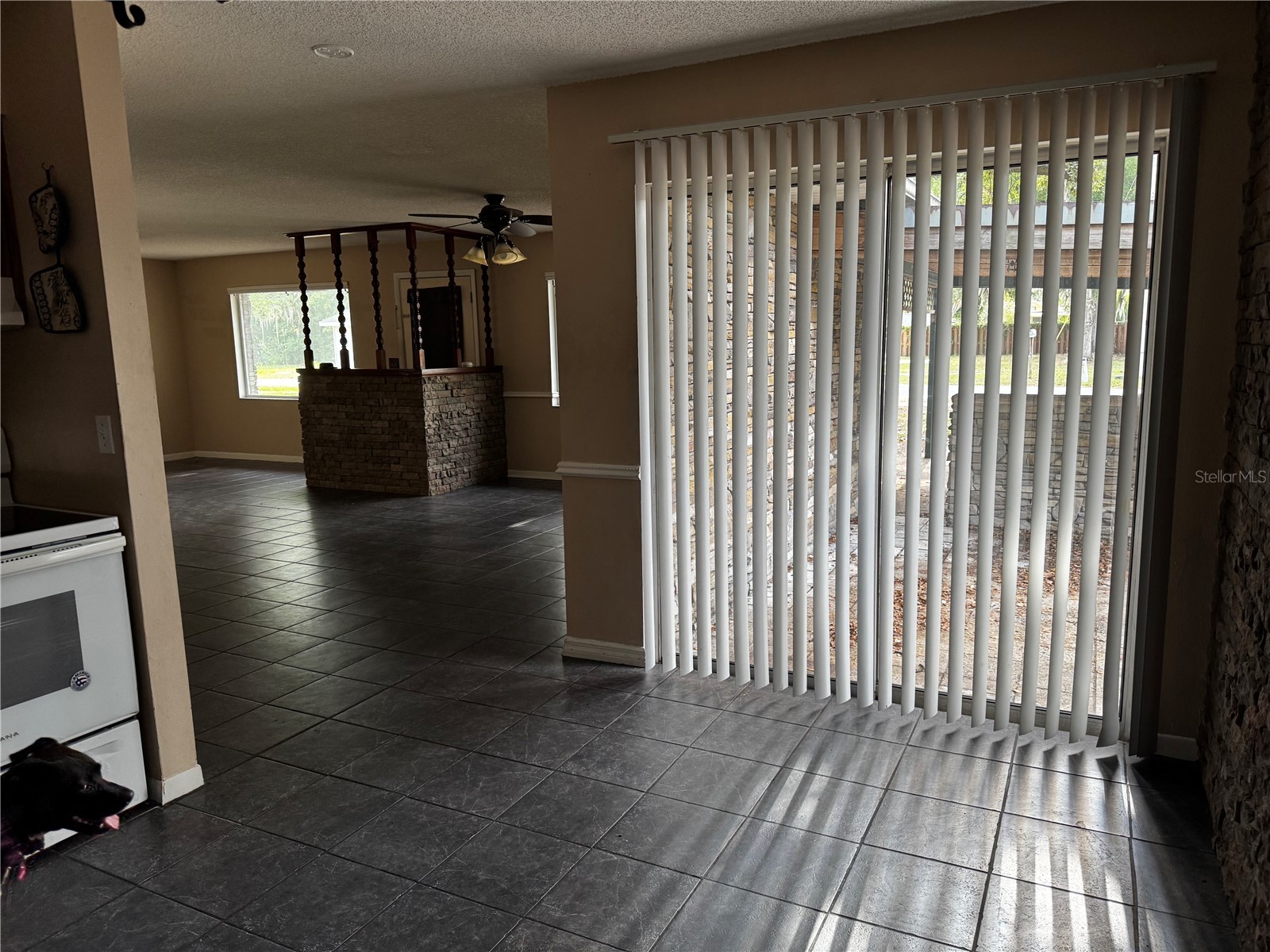 205 Pinecrest Road Mount Dora FL 32757 W7885620 image16