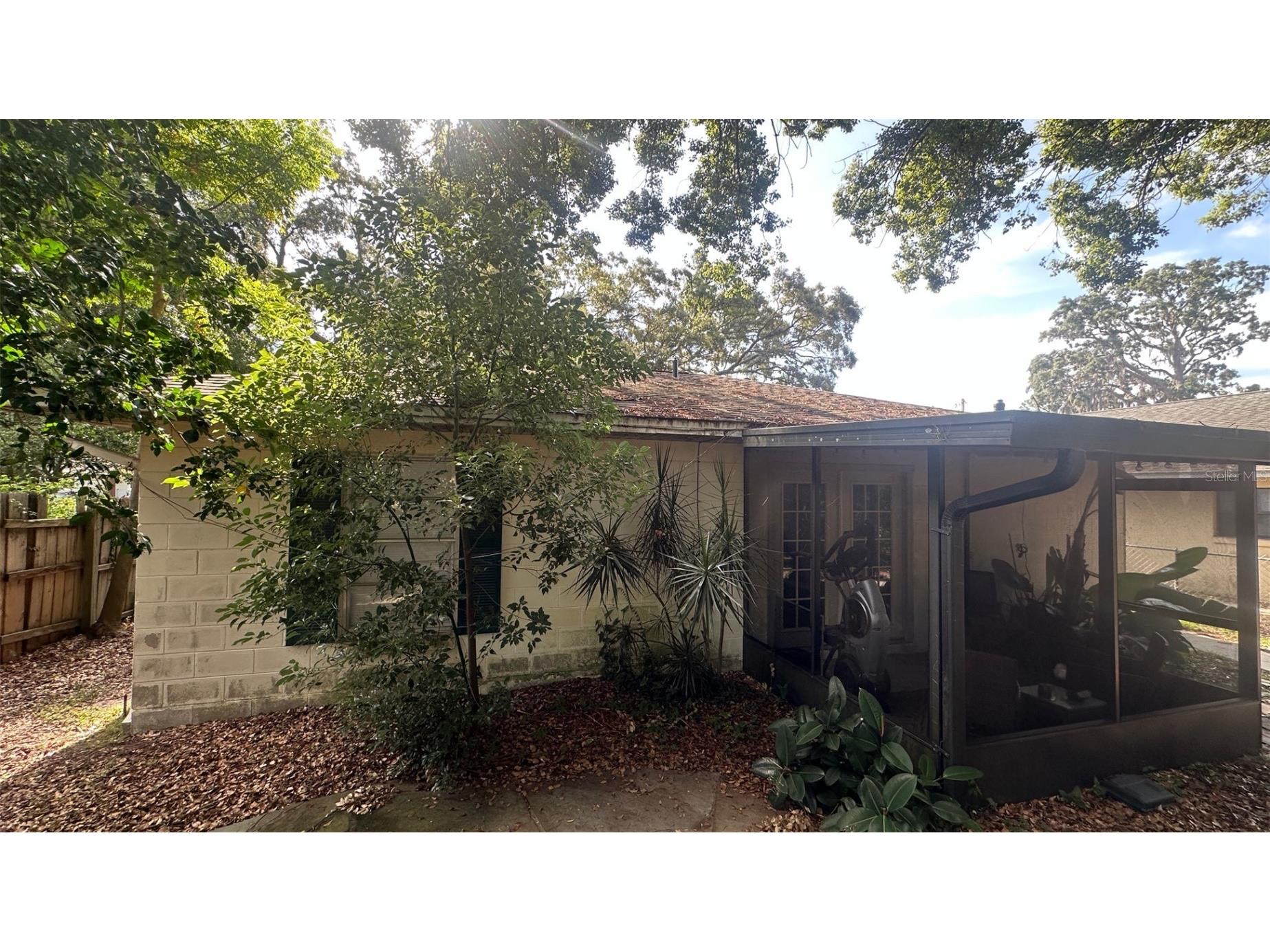 205 Pinecrest Road Mount Dora FL 32757 W7885620 image6