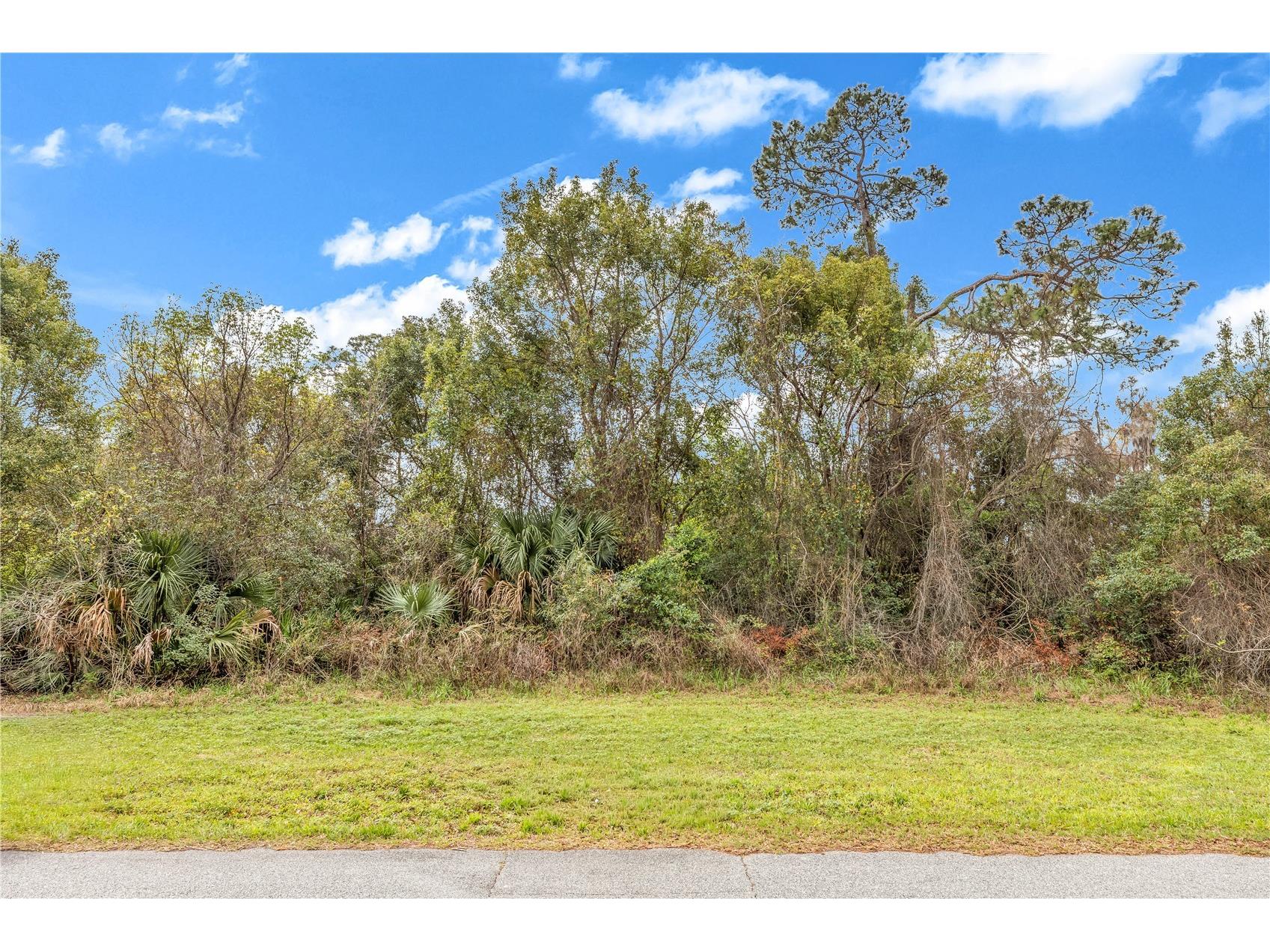 205 Plumosa Road Debary FL 32713 V4947793 image3