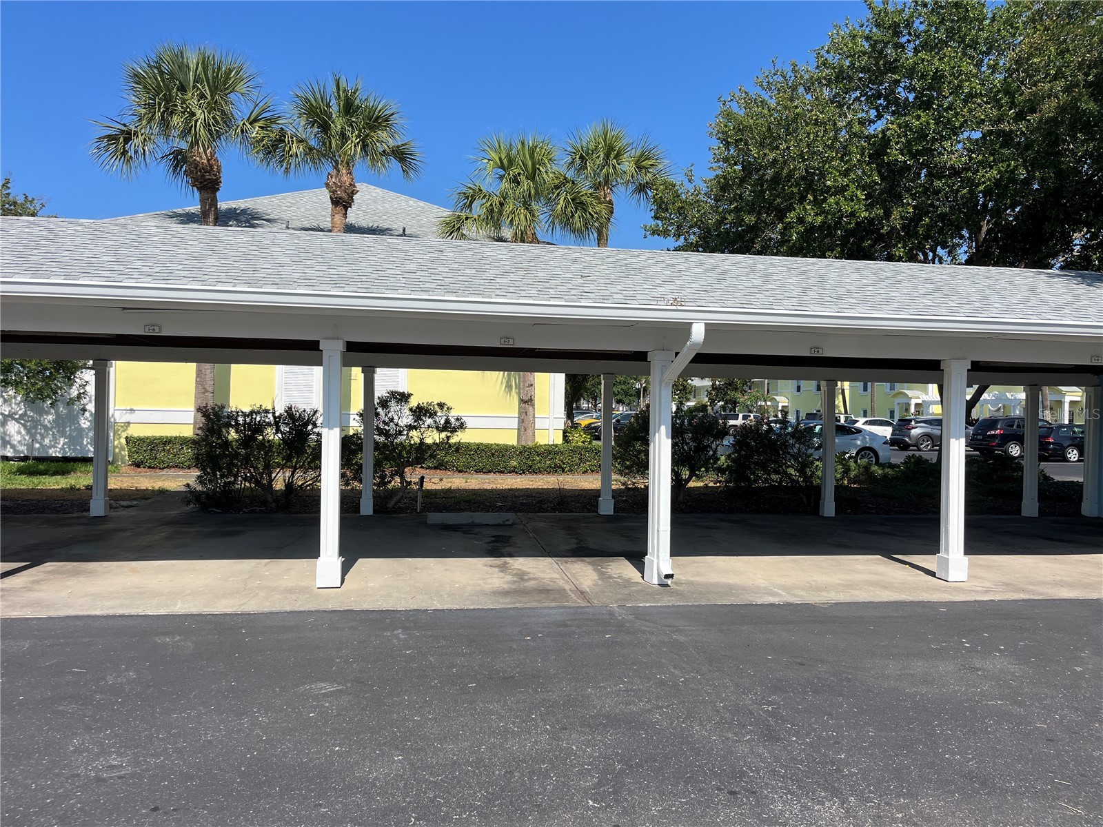 205 Pompano Drive SE #D Saint Petersburg FL 33705 - BIG BAYOU A4699441 image16