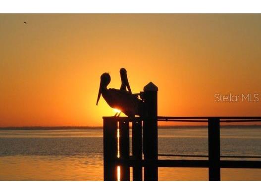 205 Pompano Drive SE #D Saint Petersburg FL 33705 - BIG BAYOU TB8412401 image17