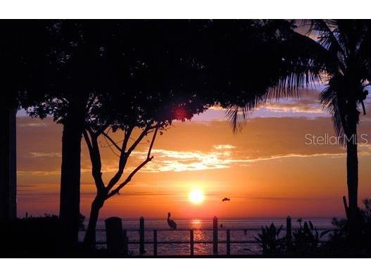 205 Pompano Drive SE #D Saint Petersburg FL 33705 - BIG BAYOU TB8412401 image18