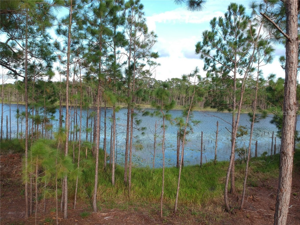 205 Rosedale Drive Deltona FL 32738 S5134714 image37