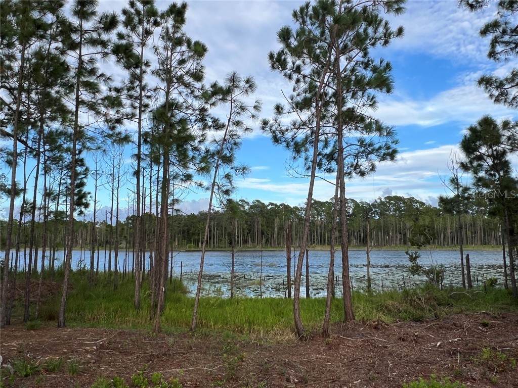 205 Rosedale Drive Deltona FL 32738 S5134714 image38