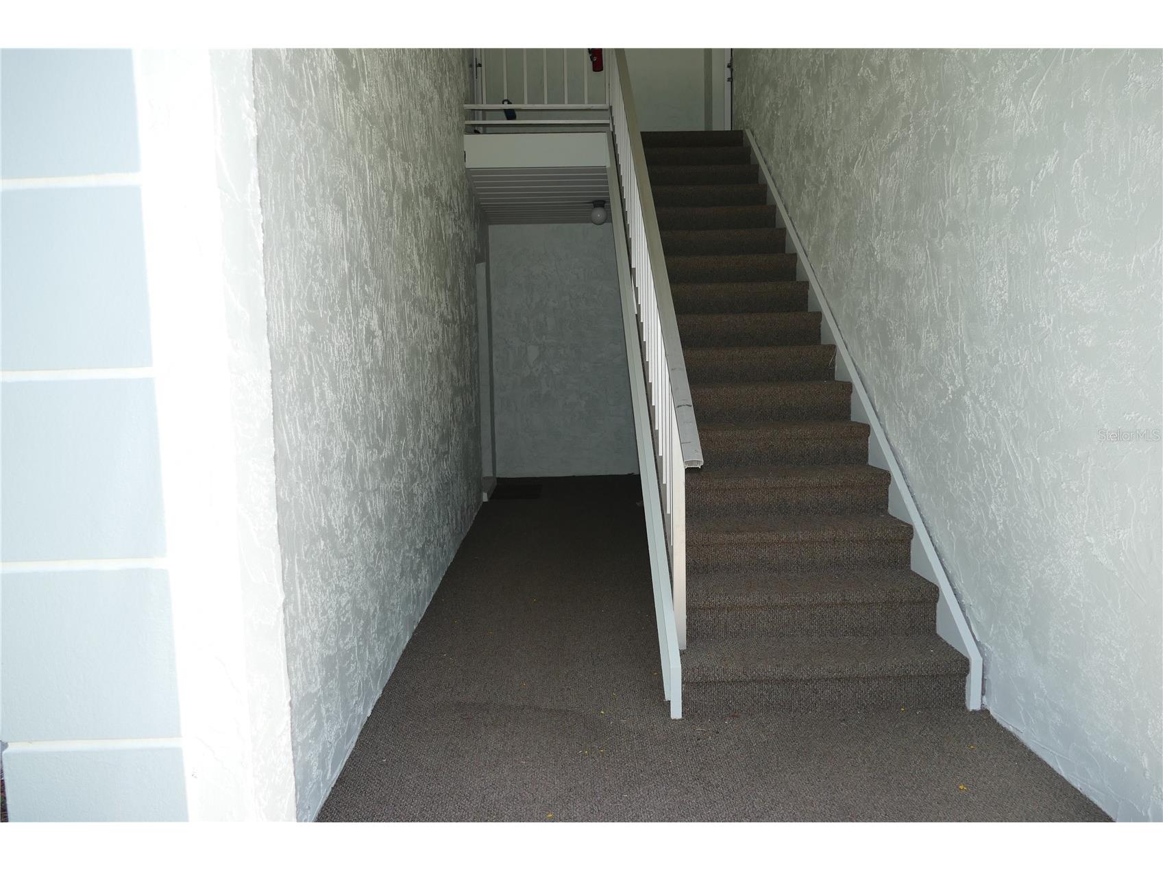 205 S Mcmullen Booth Road #203 Clearwater FL 33759 TB8466224 image21