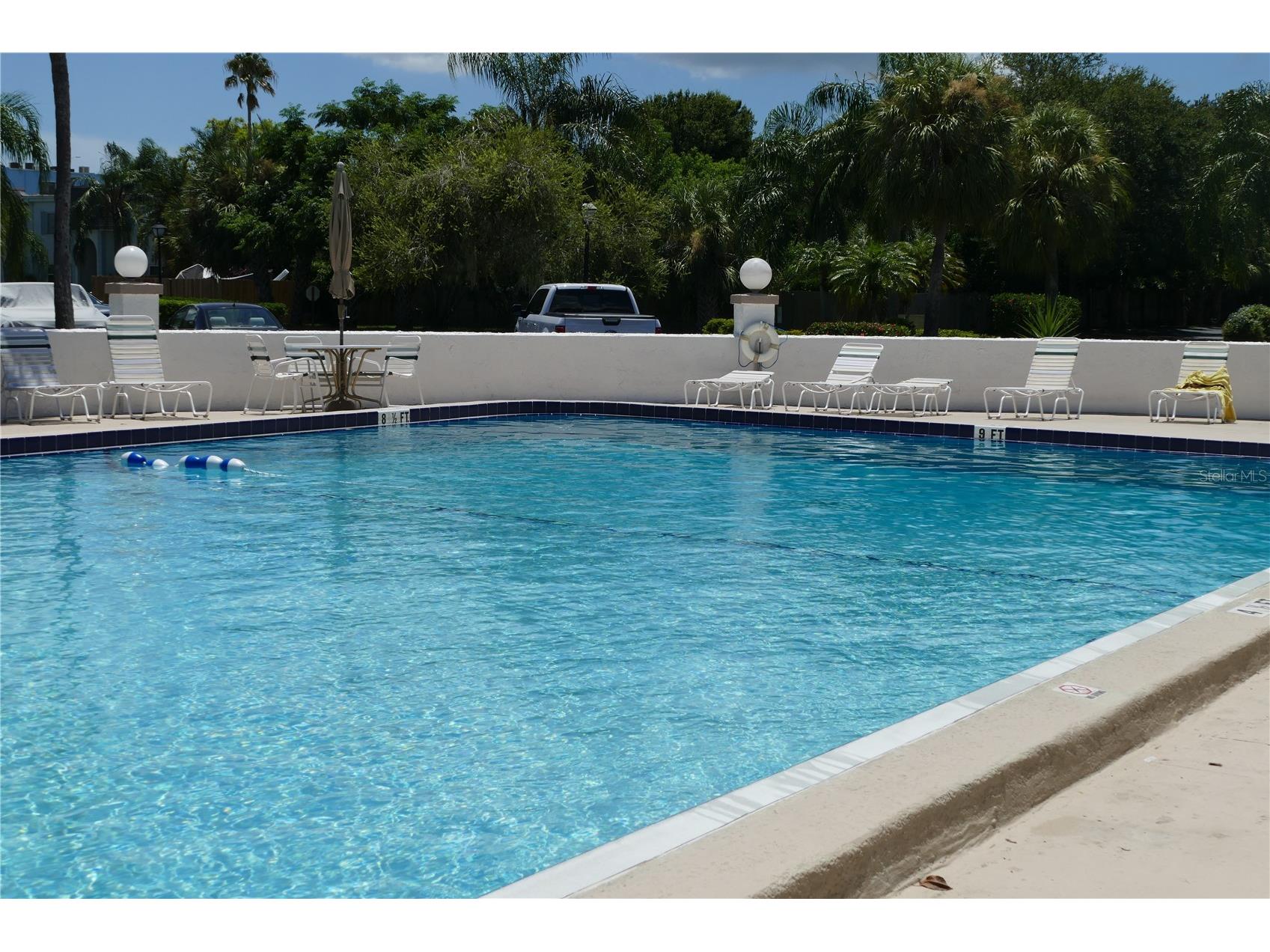 205 S Mcmullen Booth Road #203 Clearwater FL 33759 TB8492567 image17