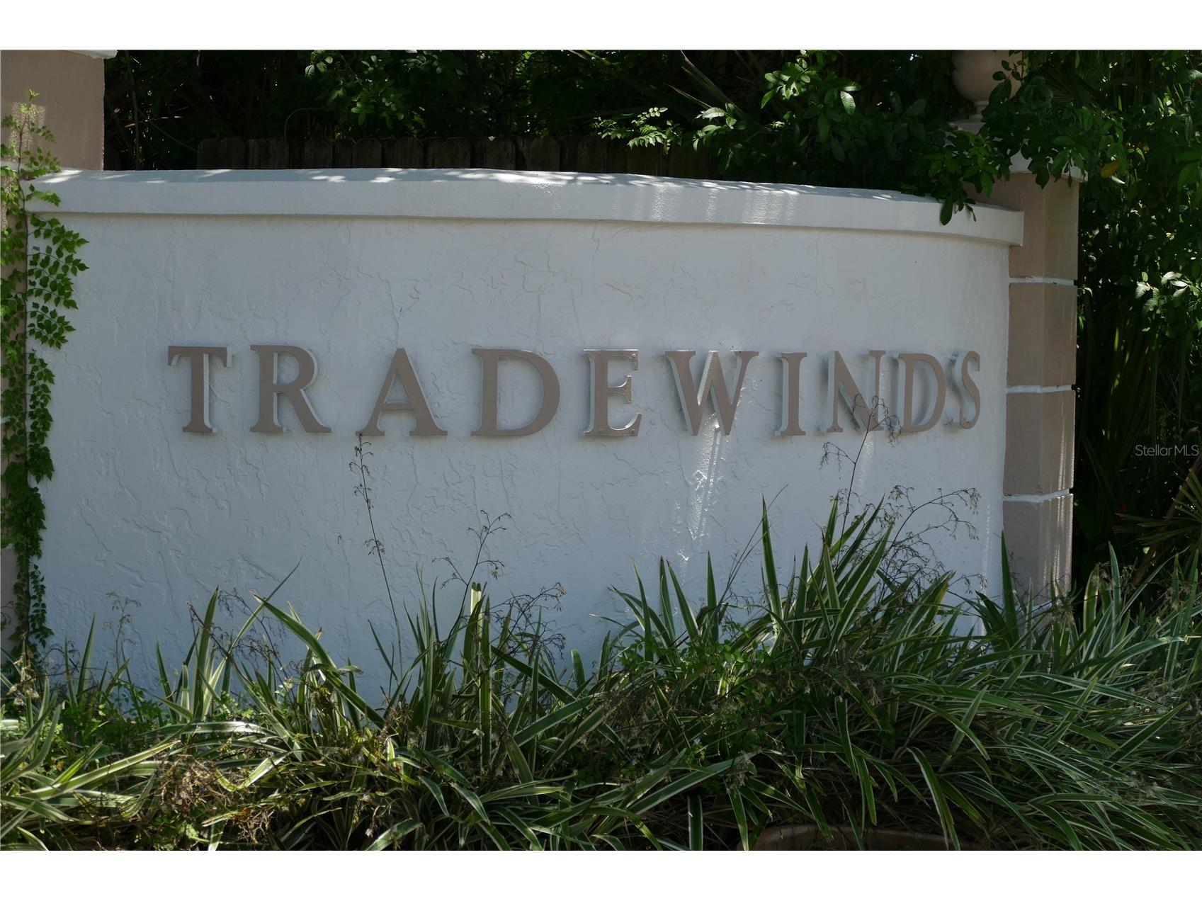 205 S Mcmullen Booth Road #203 Clearwater FL 33759 TB8492567 image2