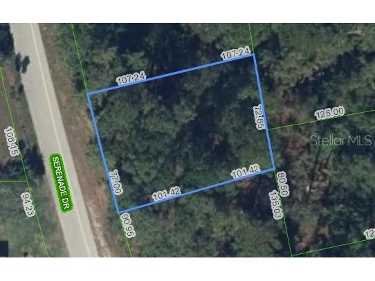 205 Serenade Drive Lake Placid FL 33852 P4939399 image2