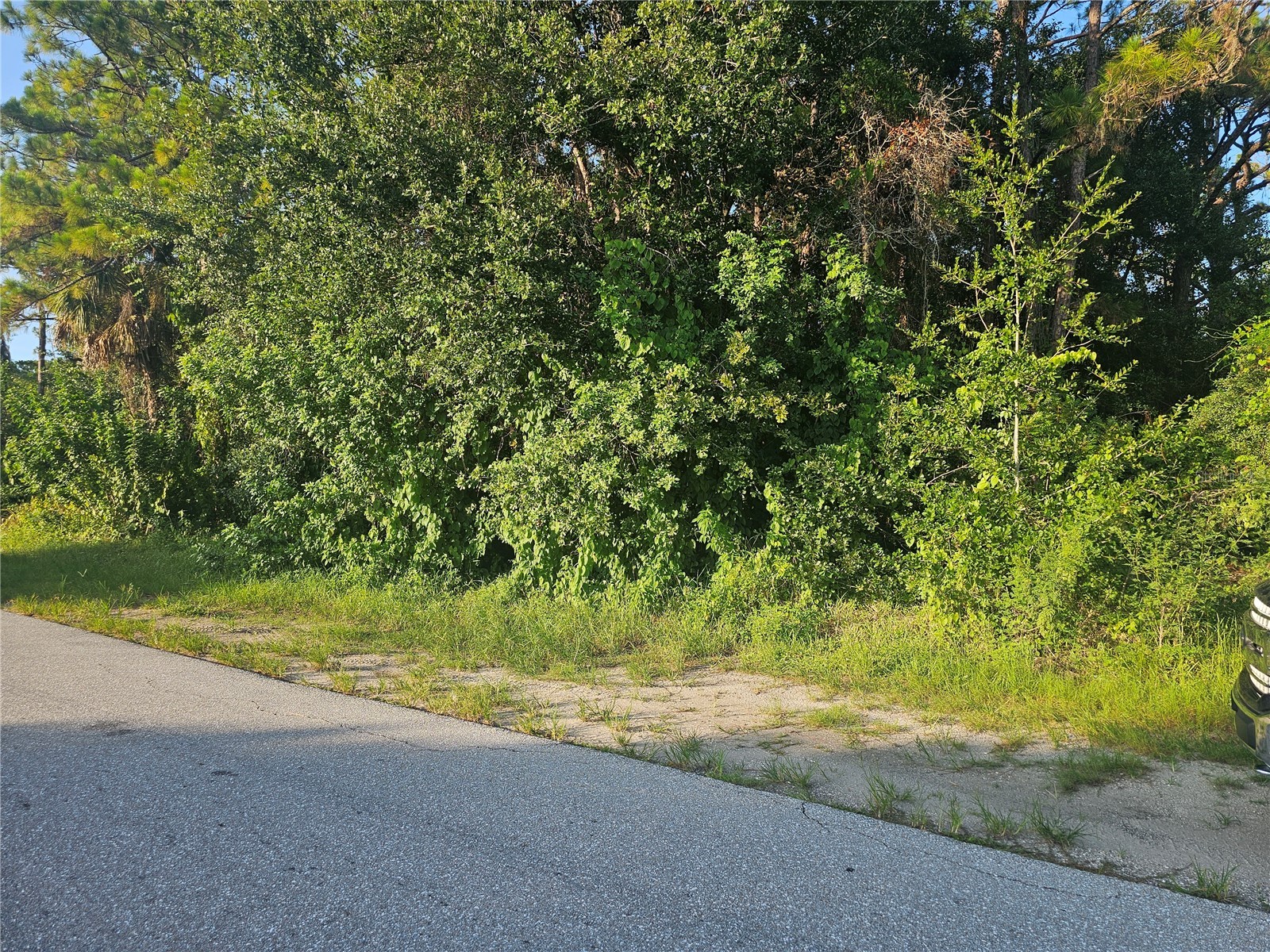 205 Serenade Drive Lake Placid FL 33852 P4939399 image8