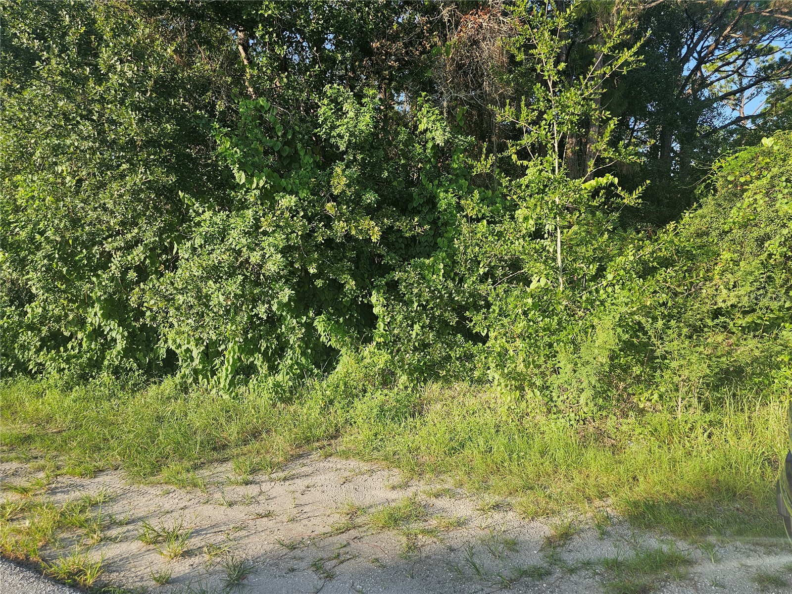 205 Serenade Drive Lake Placid FL 33852 P4939399 image9