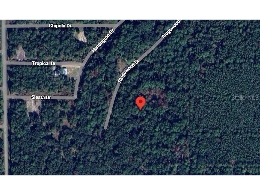 205 Siesta Drive Georgetown FL 32139 OM720788 image1