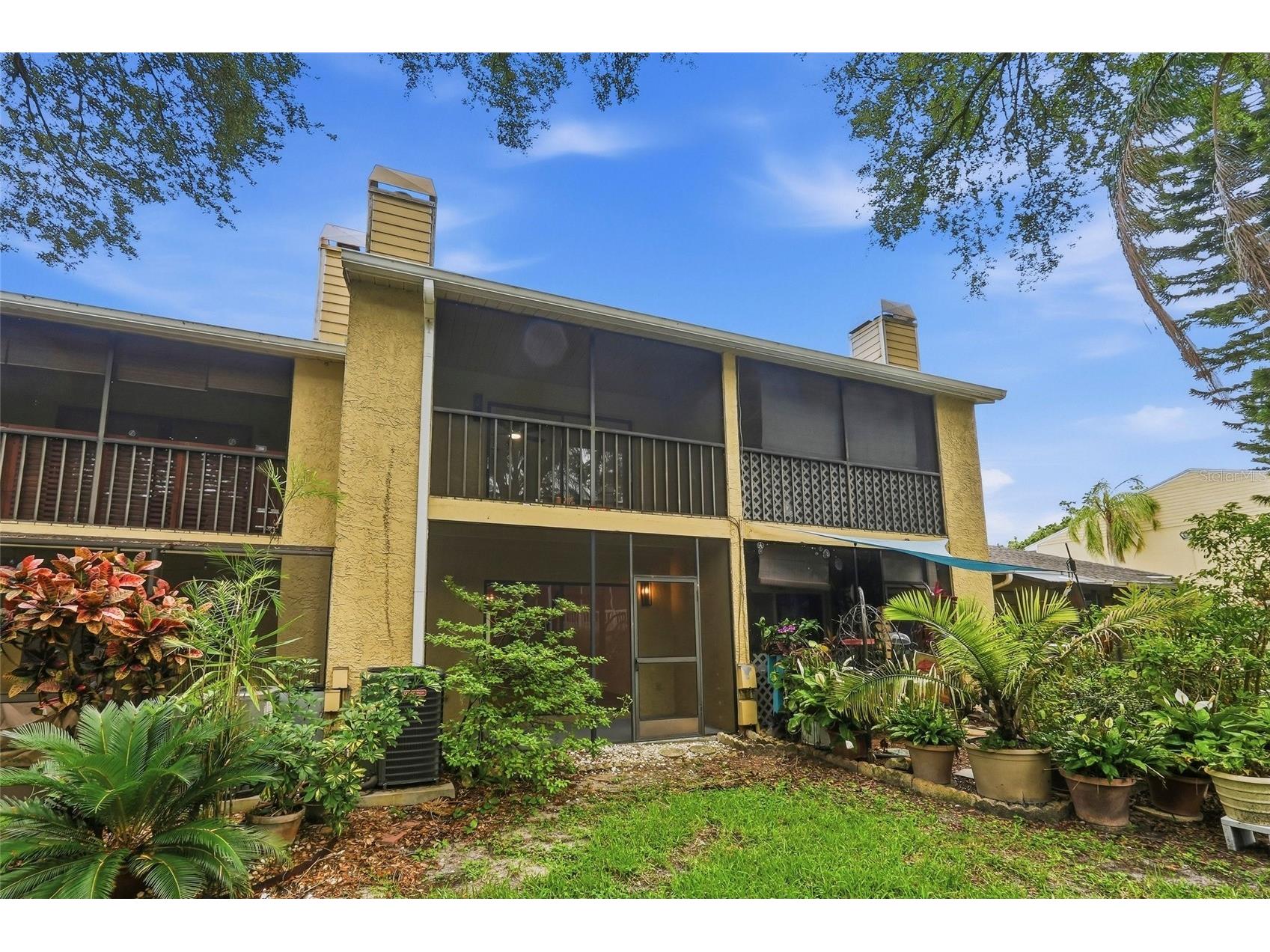 205 Somerset Lane Palm Harbor FL 34684 TB8515153 image33