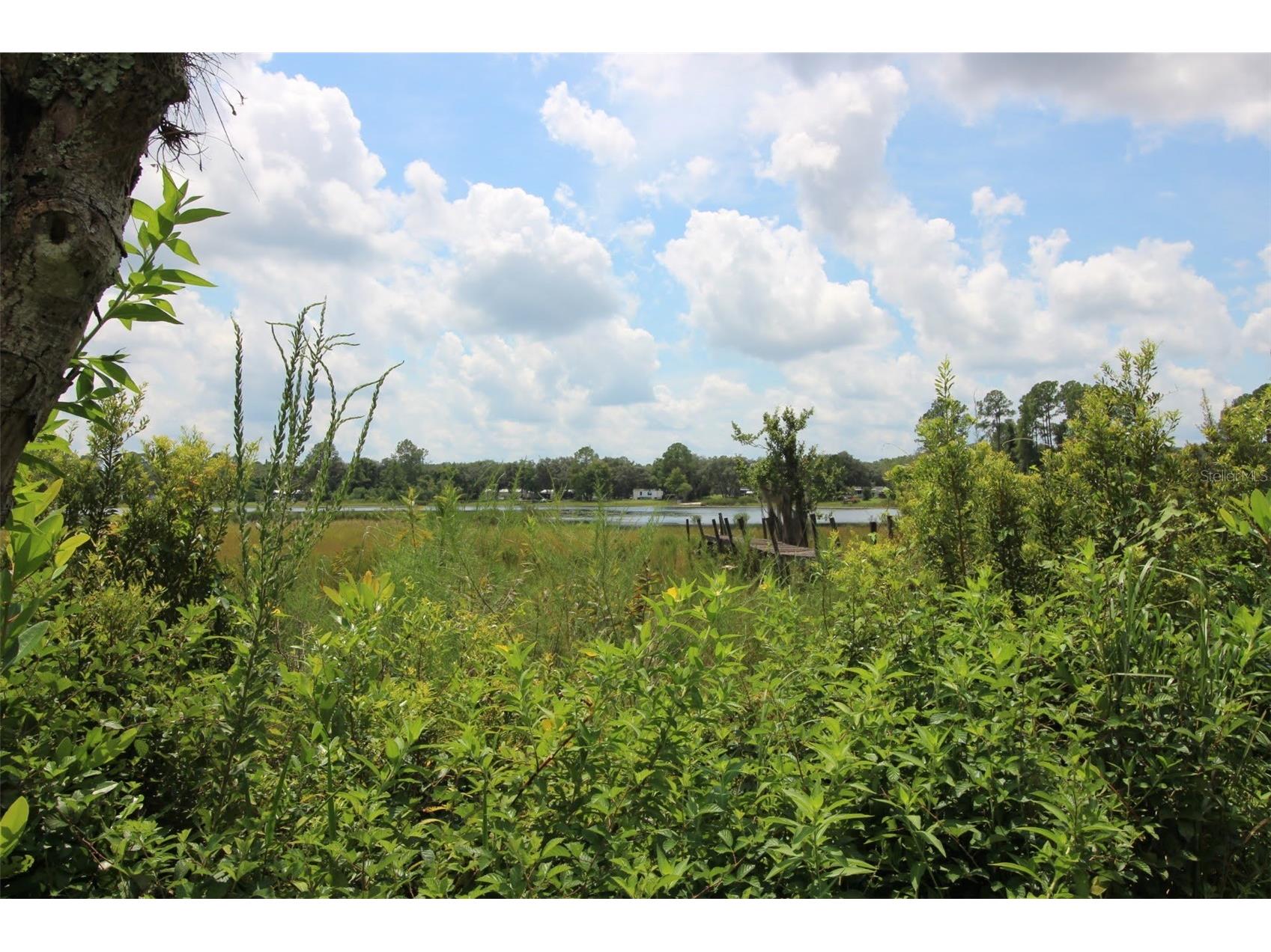 205 Susan Street Interlachen FL 32148 - LAKE VIRGINIA GC533710 image7