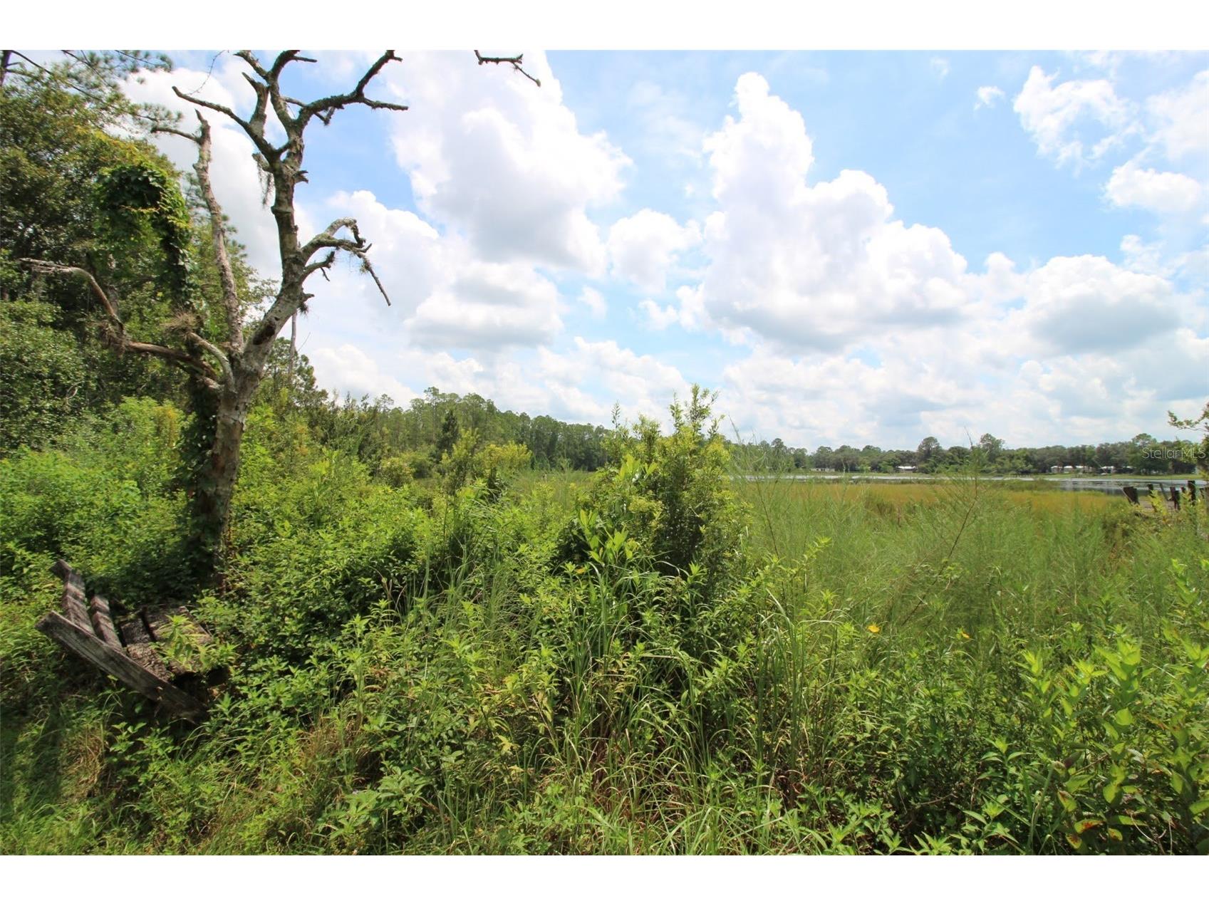 205 Susan Street Interlachen FL 32148 - LAKE VIRGINIA GC533710 image8