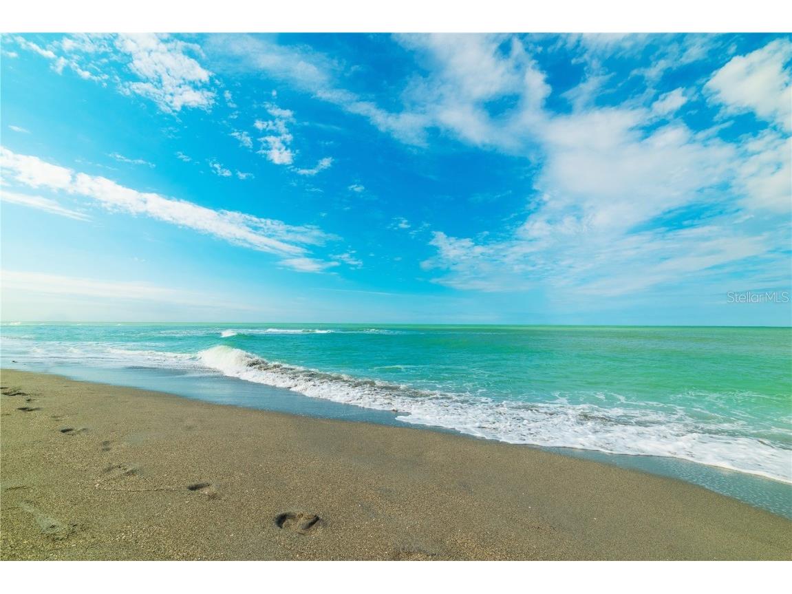 205 Tracino Terrace Nokomis FL 34275 N6141443 image59