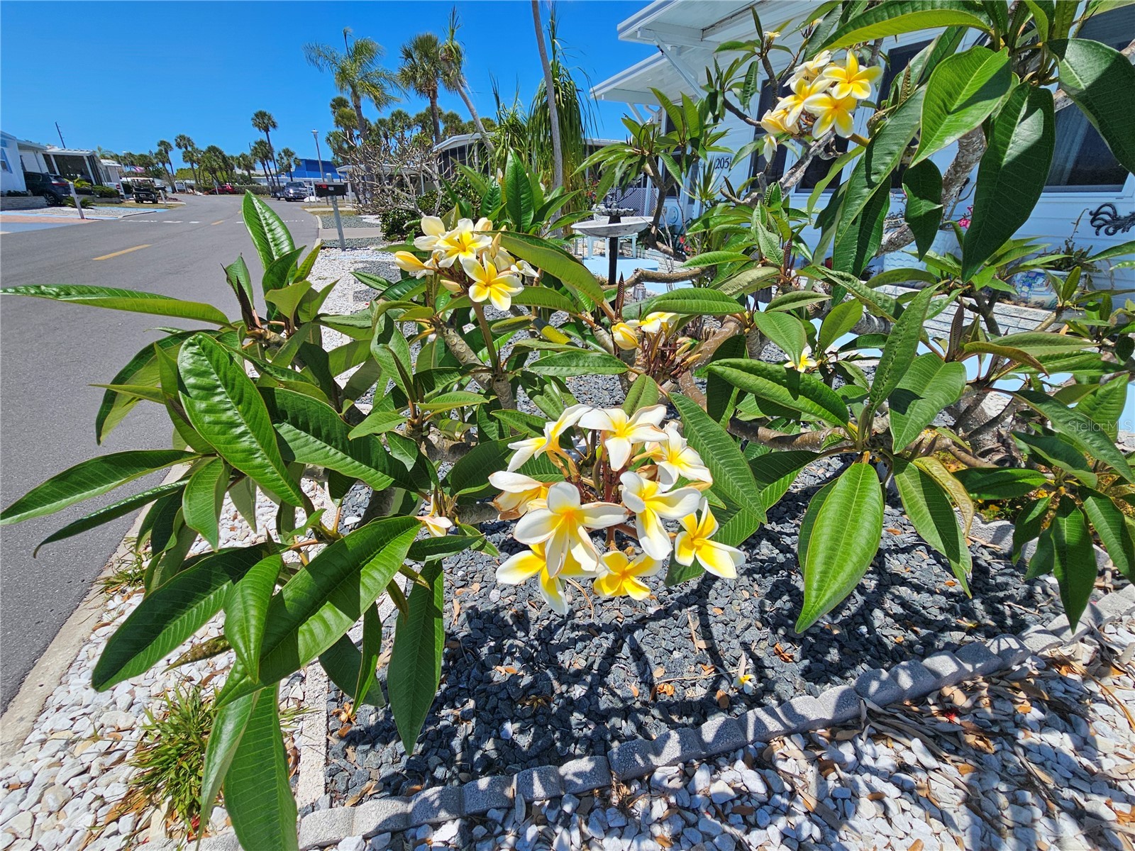 205 Via Veneto Venice FL 34285 N6144126 image25