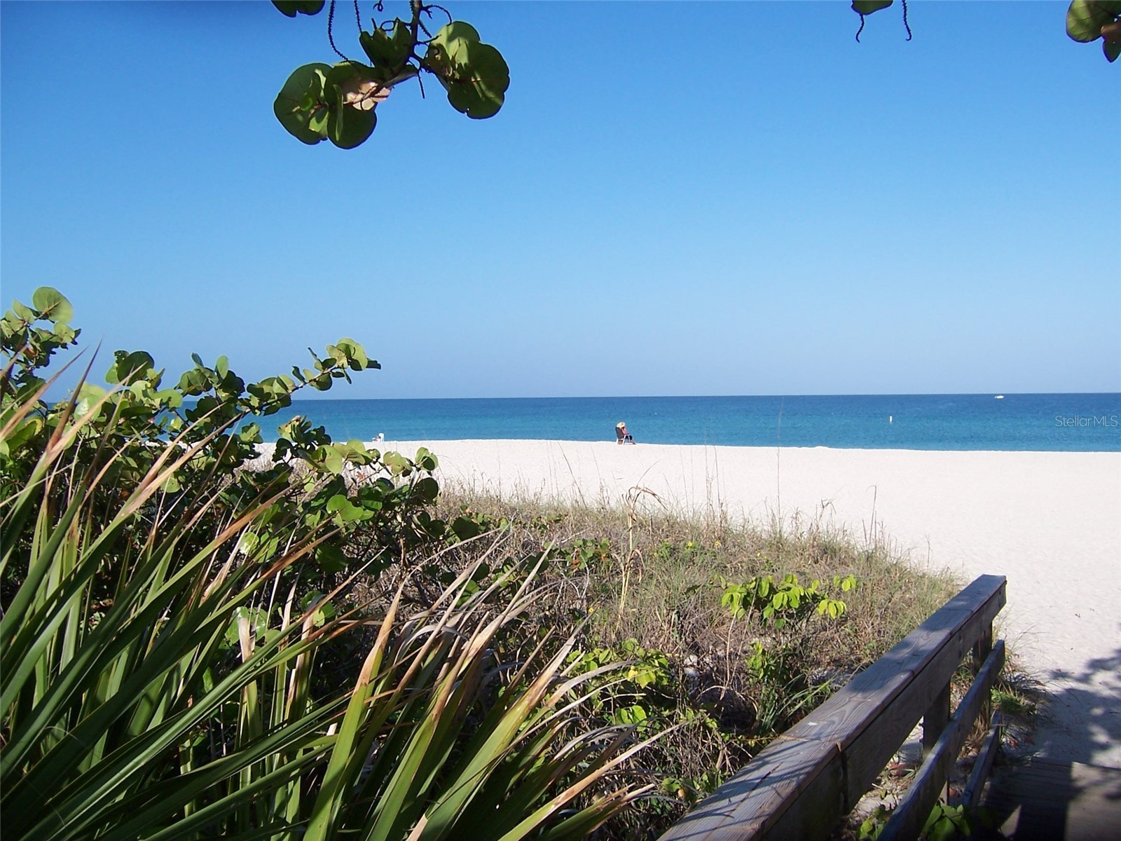205 Via Veneto Venice FL 34285 N6144126 image51
