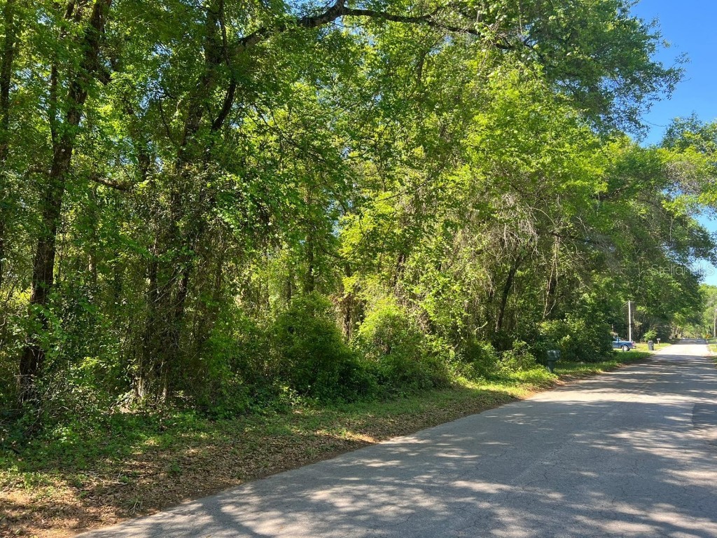 205 W Harvard Street Inverness FL 34452 O6009422 image1