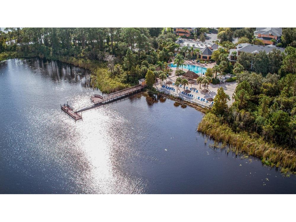 205 Watling Way #24205 Davenport FL 33897 O6363642 image43