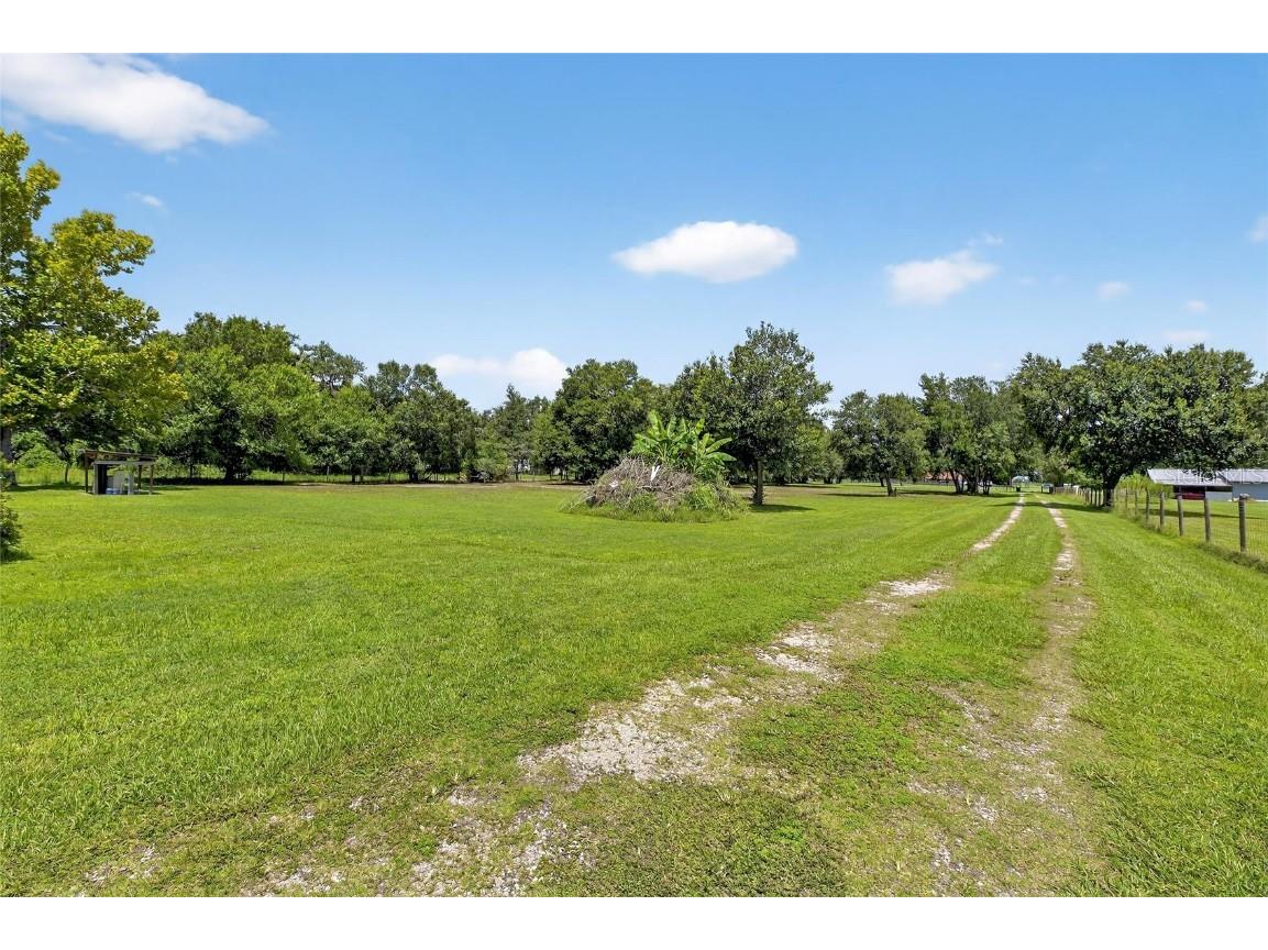 205 Wendel Avenue Lithia FL 33547 TB8419901 image36