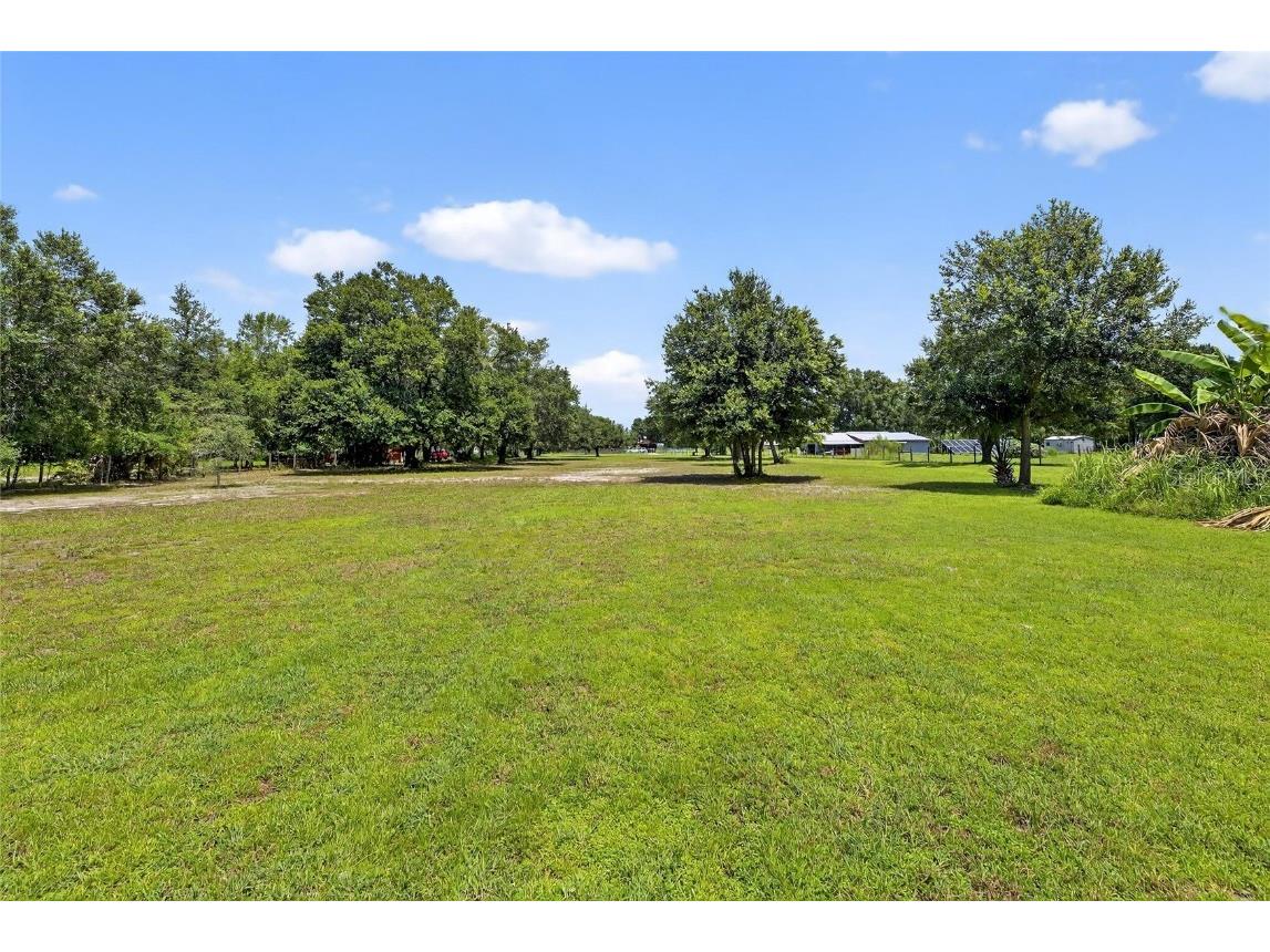 205 Wendel Avenue Lithia FL 33547 TB8419901 image6