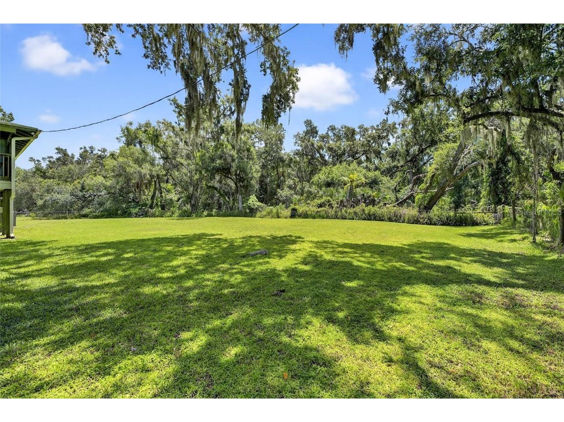 205 Wendel Avenue Lithia FL 33547 TB8419901 image7