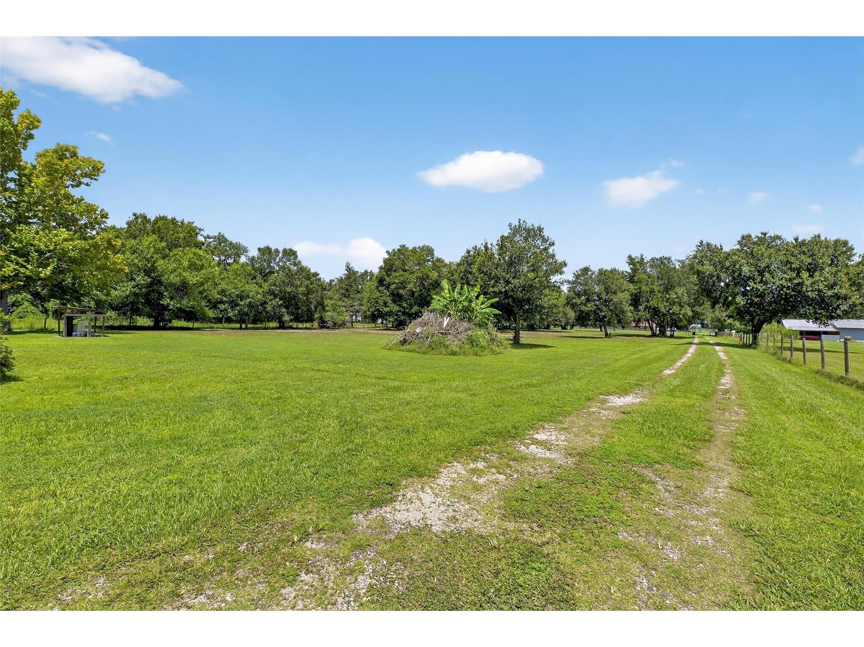 205 Wendel Avenue Lithia FL 33547 TB8520774 image4