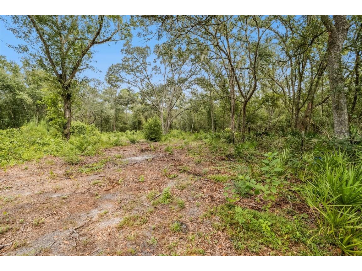 205 Wildlife Trail Lakeland FL 33809 P4936344 image10