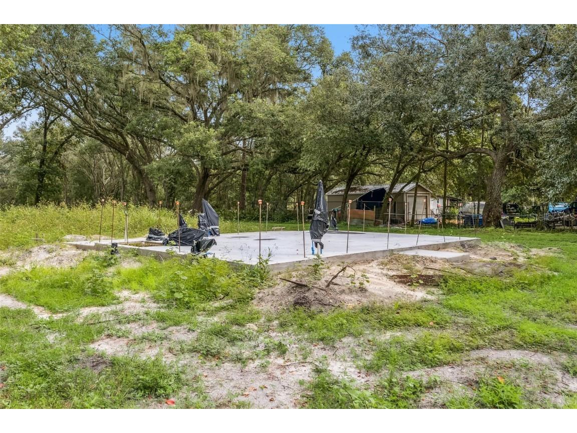 205 Wildlife Trail Lakeland FL 33809 P4936344 image6