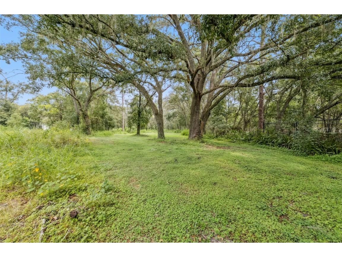 205 Wildlife Trail Lakeland FL 33809 P4936344 image8