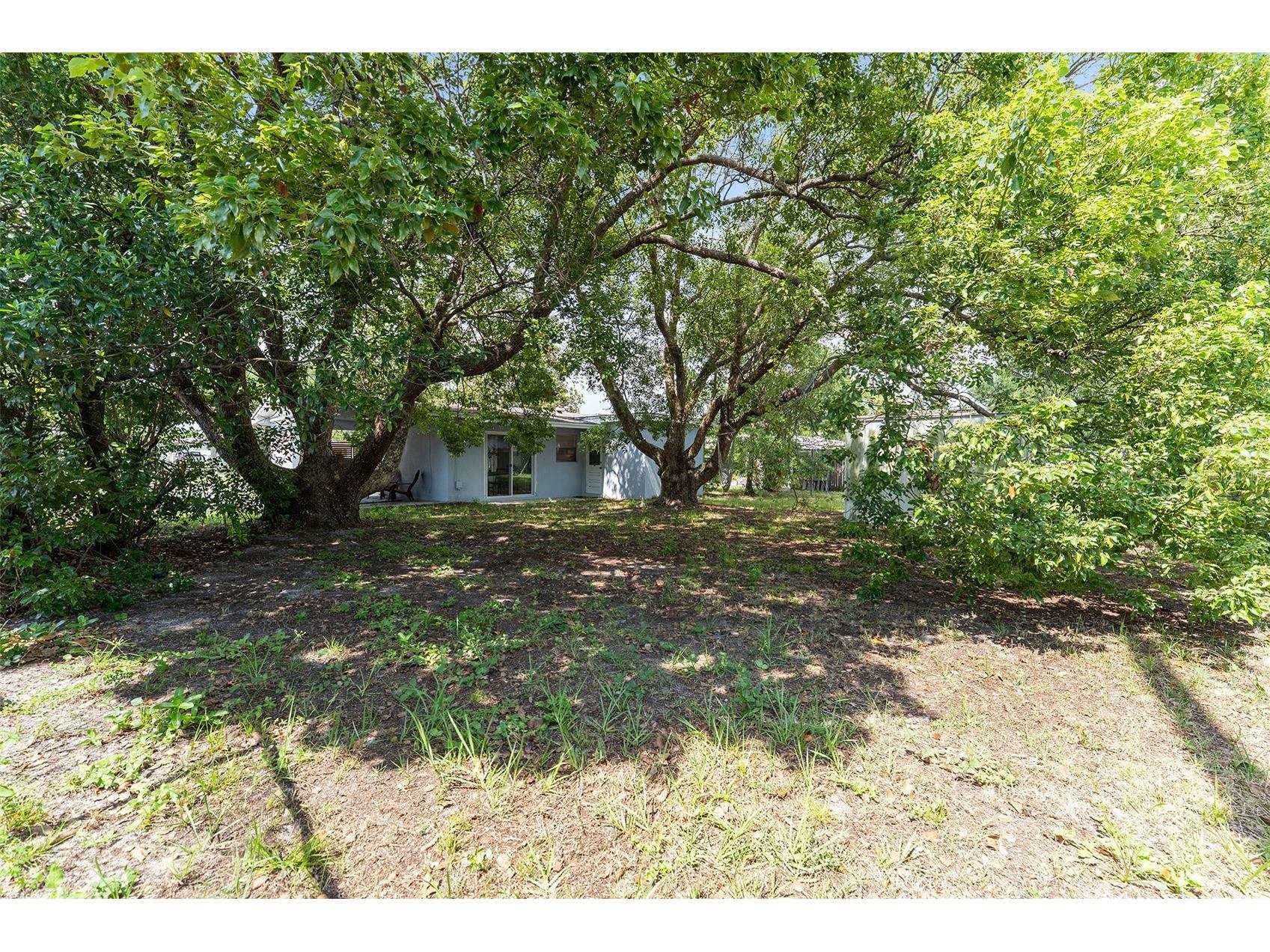 205 Wilshire Drive Casselberry FL 32707 O6404065 image20