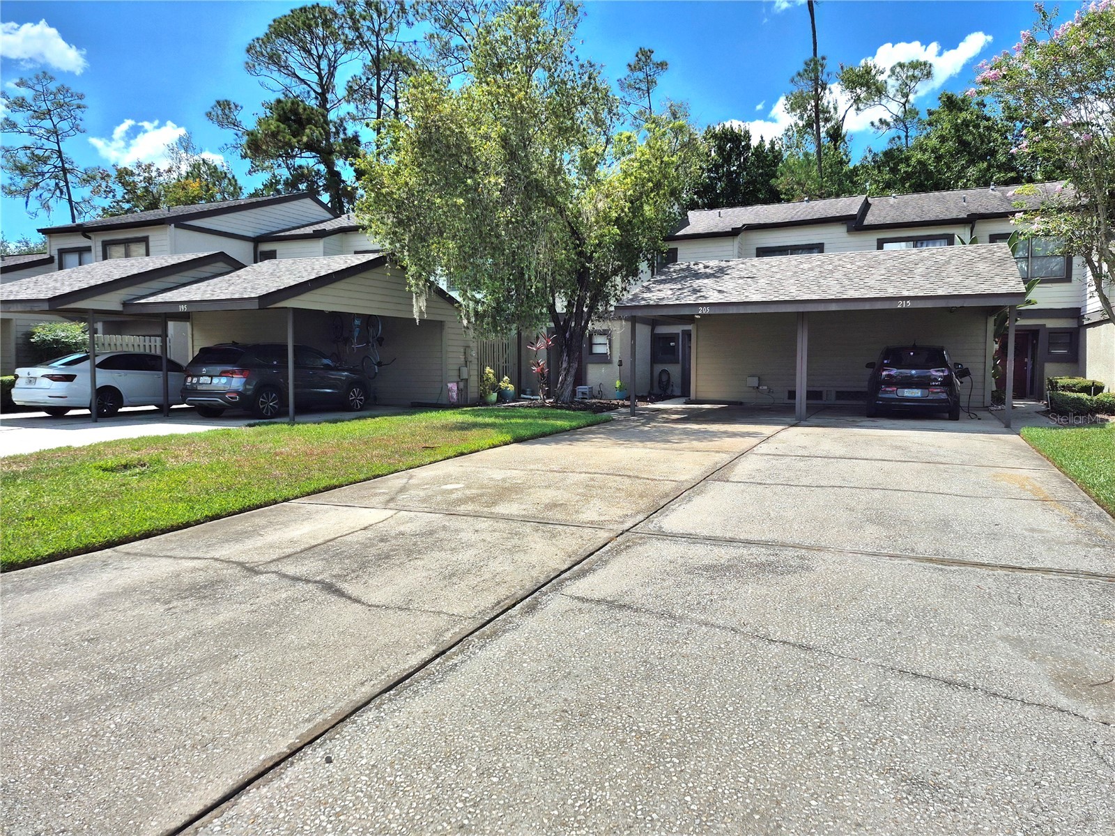 205 Woods Landing Trail Oldsmar FL 34677 TB8524916 image2