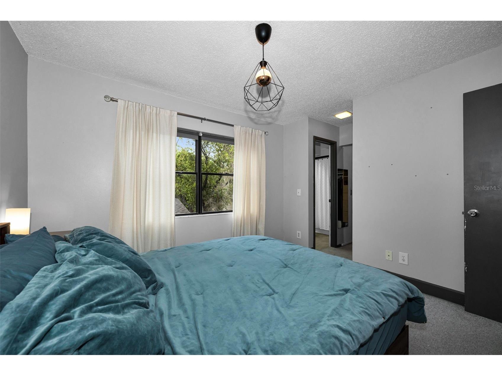 205 Woods Landing Trail Oldsmar FL 34677 TB8524916 image21