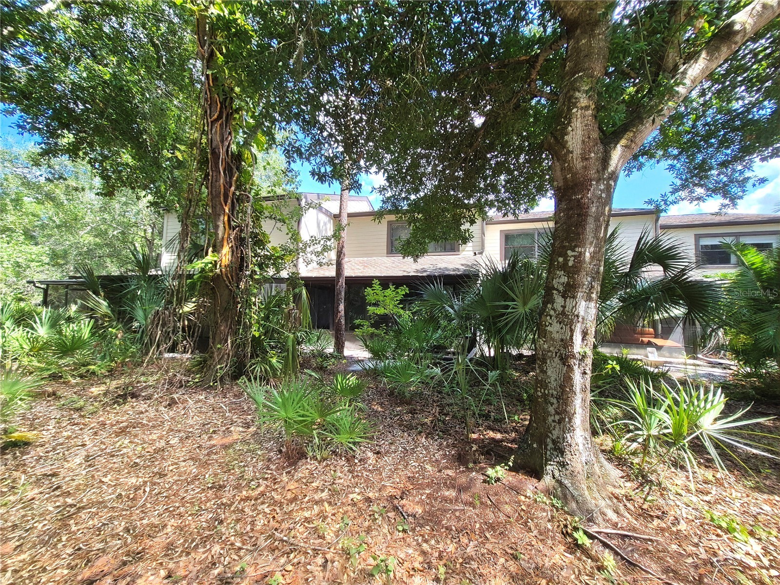 205 Woods Landing Trail Oldsmar FL 34677 TB8524916 image32