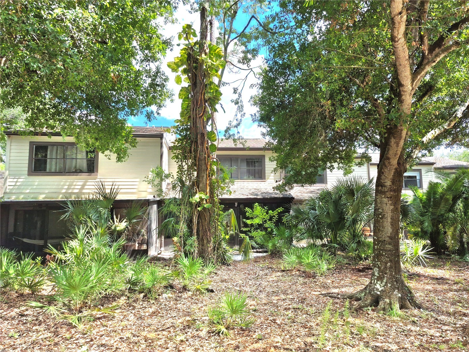 205 Woods Landing Trail Oldsmar FL 34677 TB8524916 image33