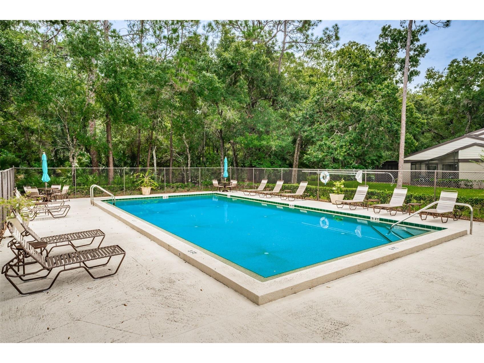 205 Woods Landing Trail Oldsmar FL 34677 TB8524916 image37