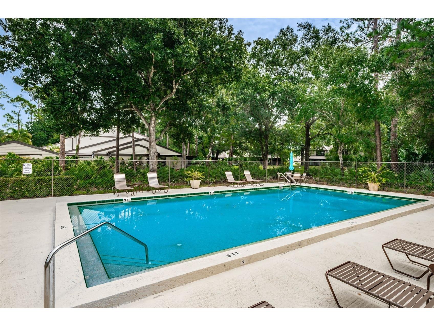 205 Woods Landing Trail Oldsmar FL 34677 TB8524916 image38