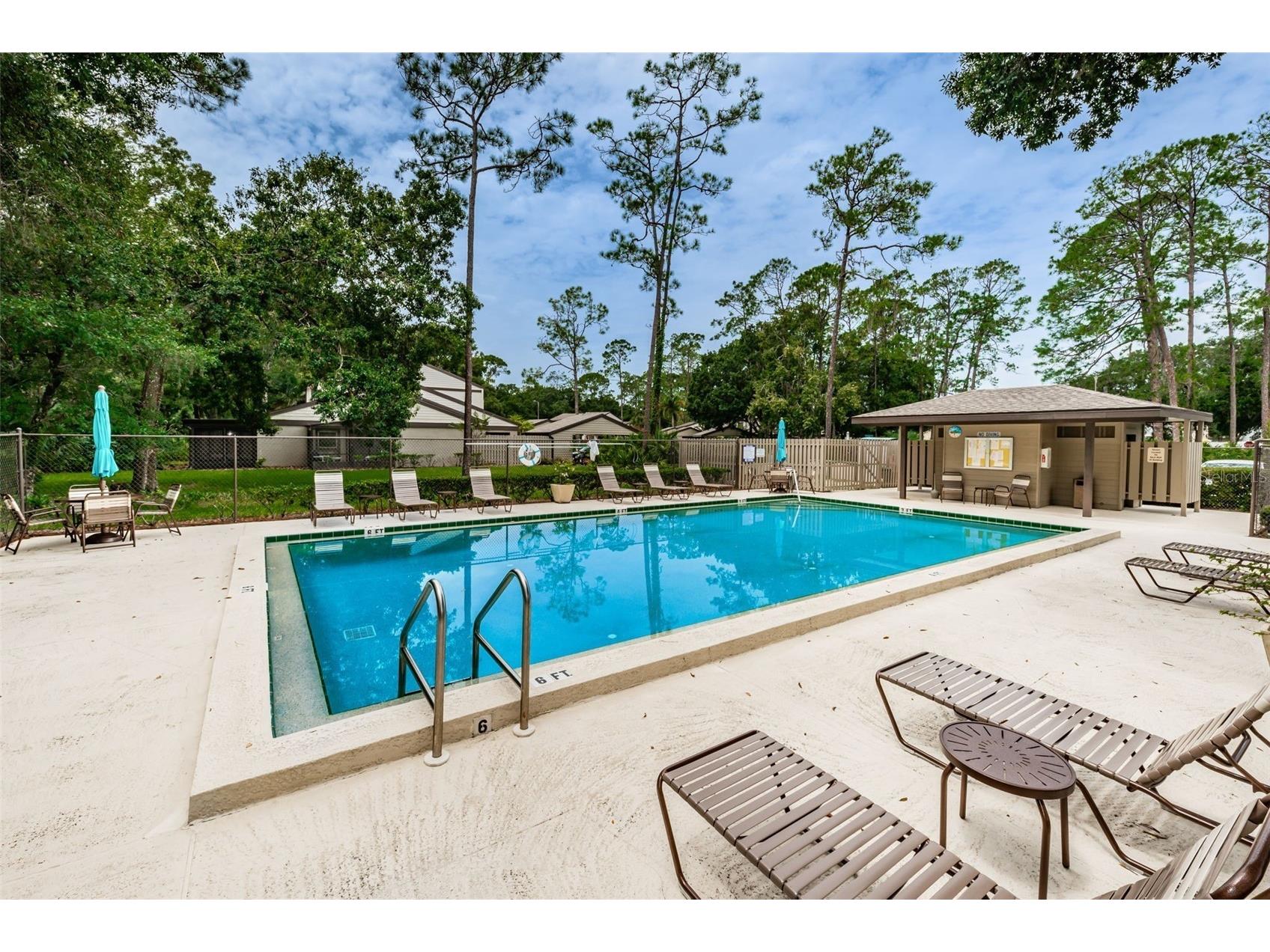 205 Woods Landing Trail Oldsmar FL 34677 TB8524916 image39