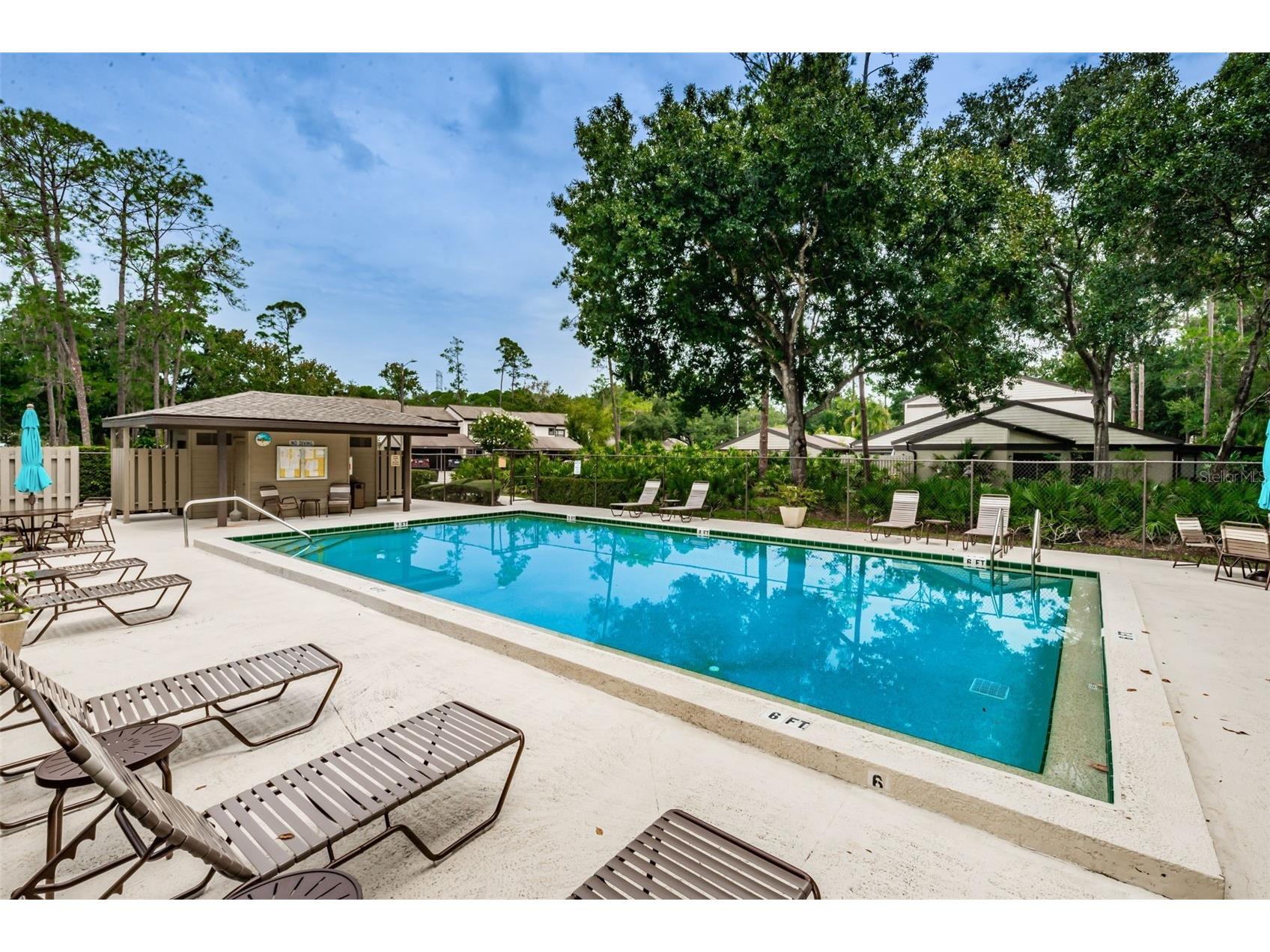 205 Woods Landing Trail Oldsmar FL 34677 TB8524916 image40