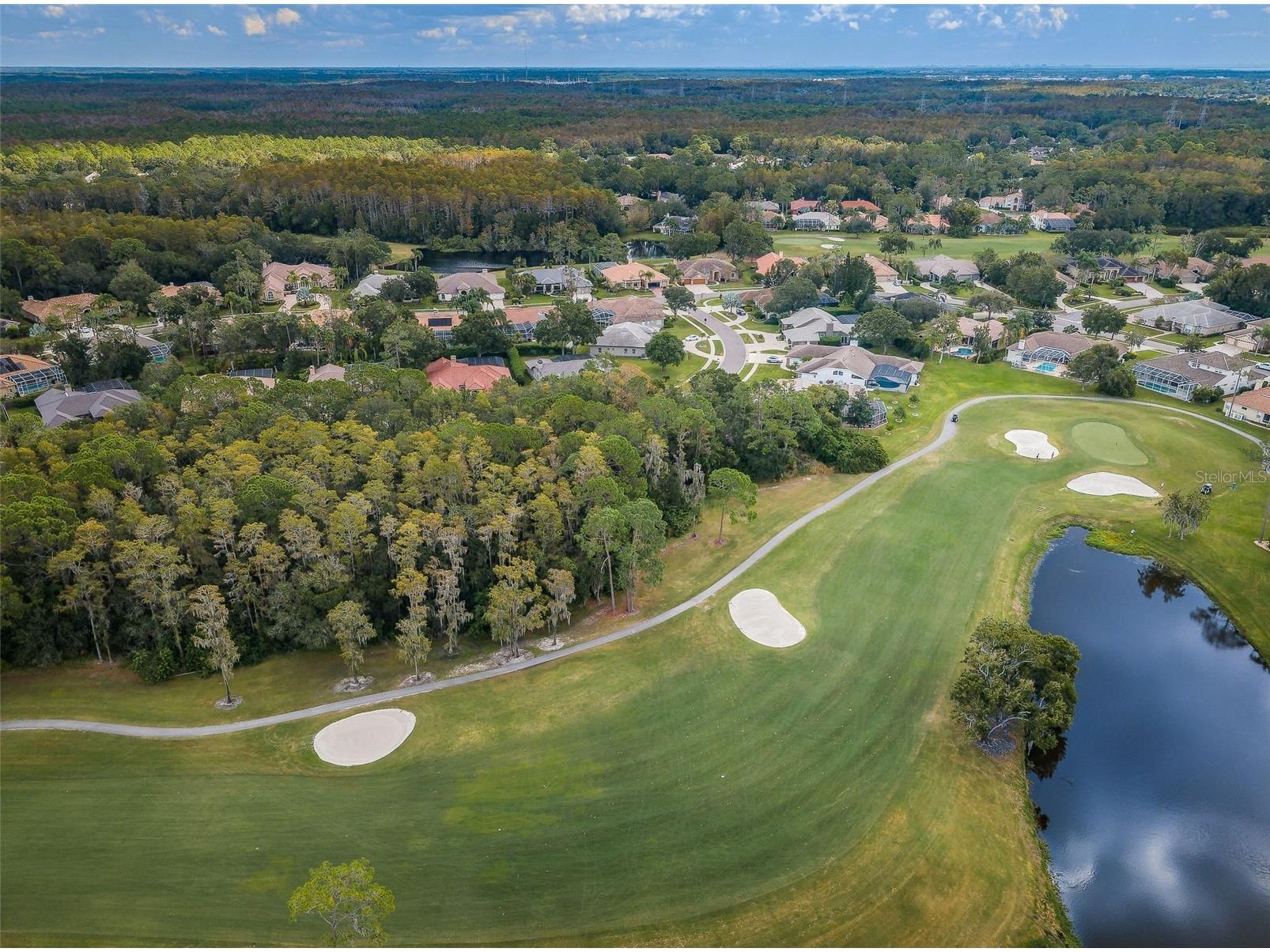 205 Woods Landing Trail Oldsmar FL 34677 TB8524916 image57