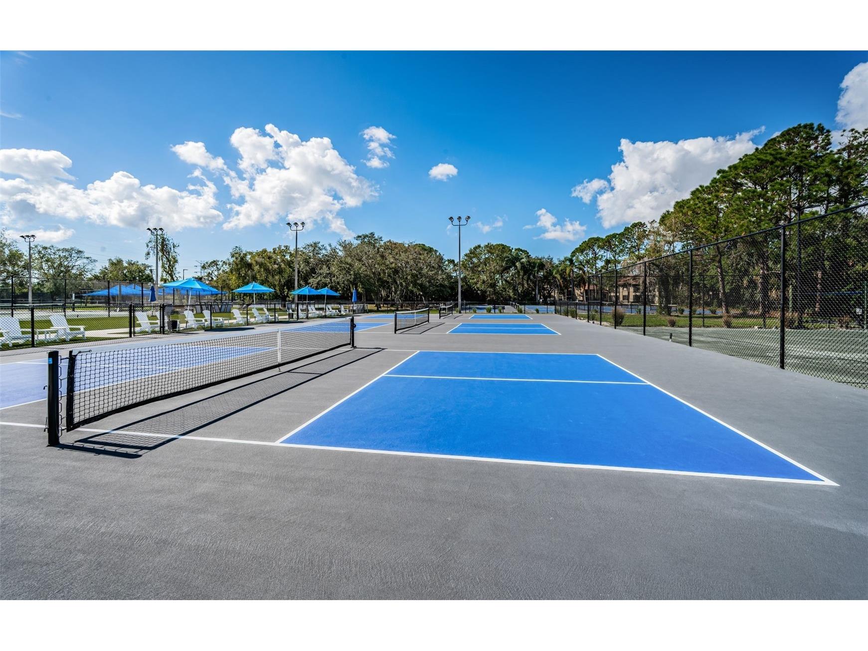 205 Woods Landing Trail Oldsmar FL 34677 TB8524916 image63